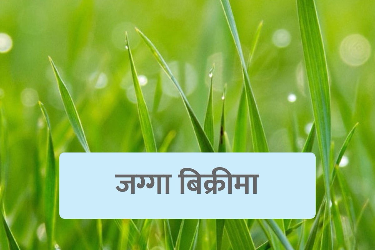 Land for Sale in Chandragiri Kathmandu