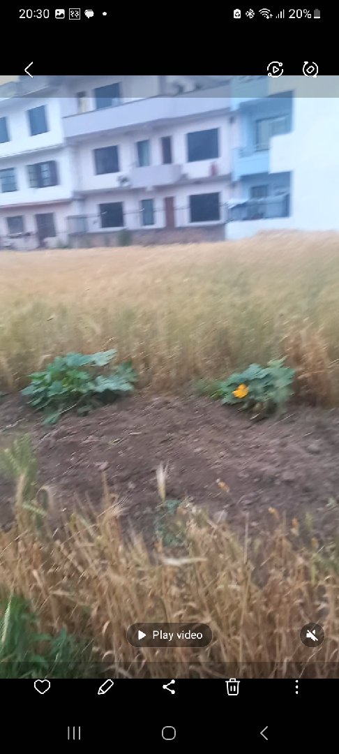 Land for Sale in Bhaktapur
