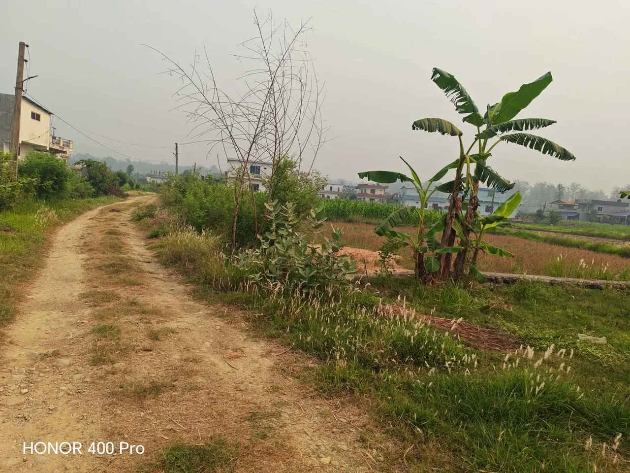 Land for Sale in Devdaha Rupandehi