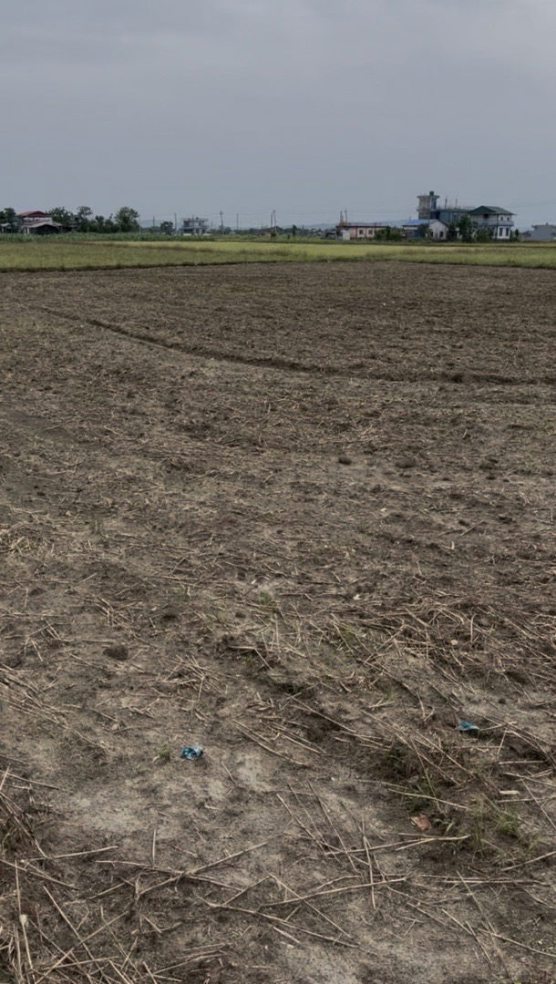 Land for Sale in Bharatpur Chitwan