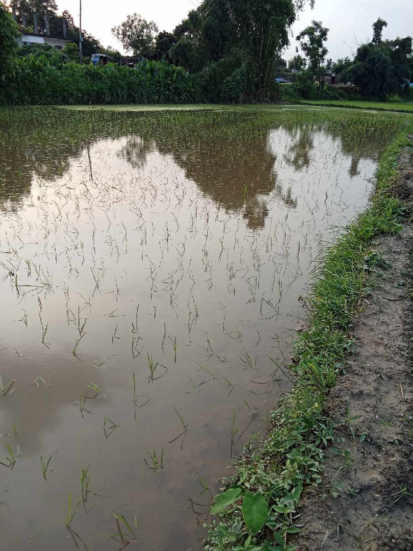 Land for Sale in Barahathwa Sarlahi