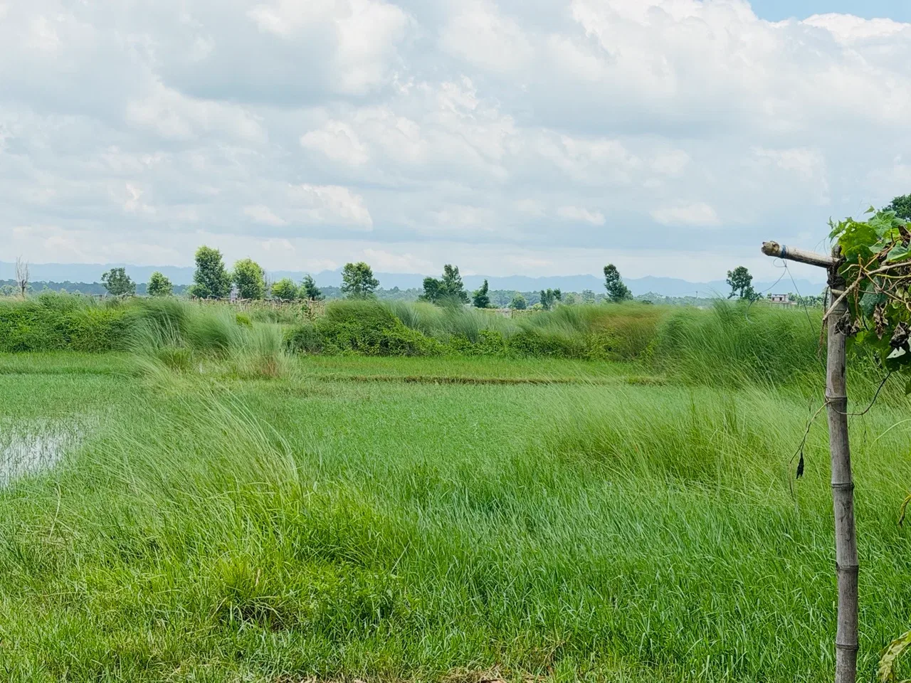 Land for Sale in Jitpur Simara Bara
