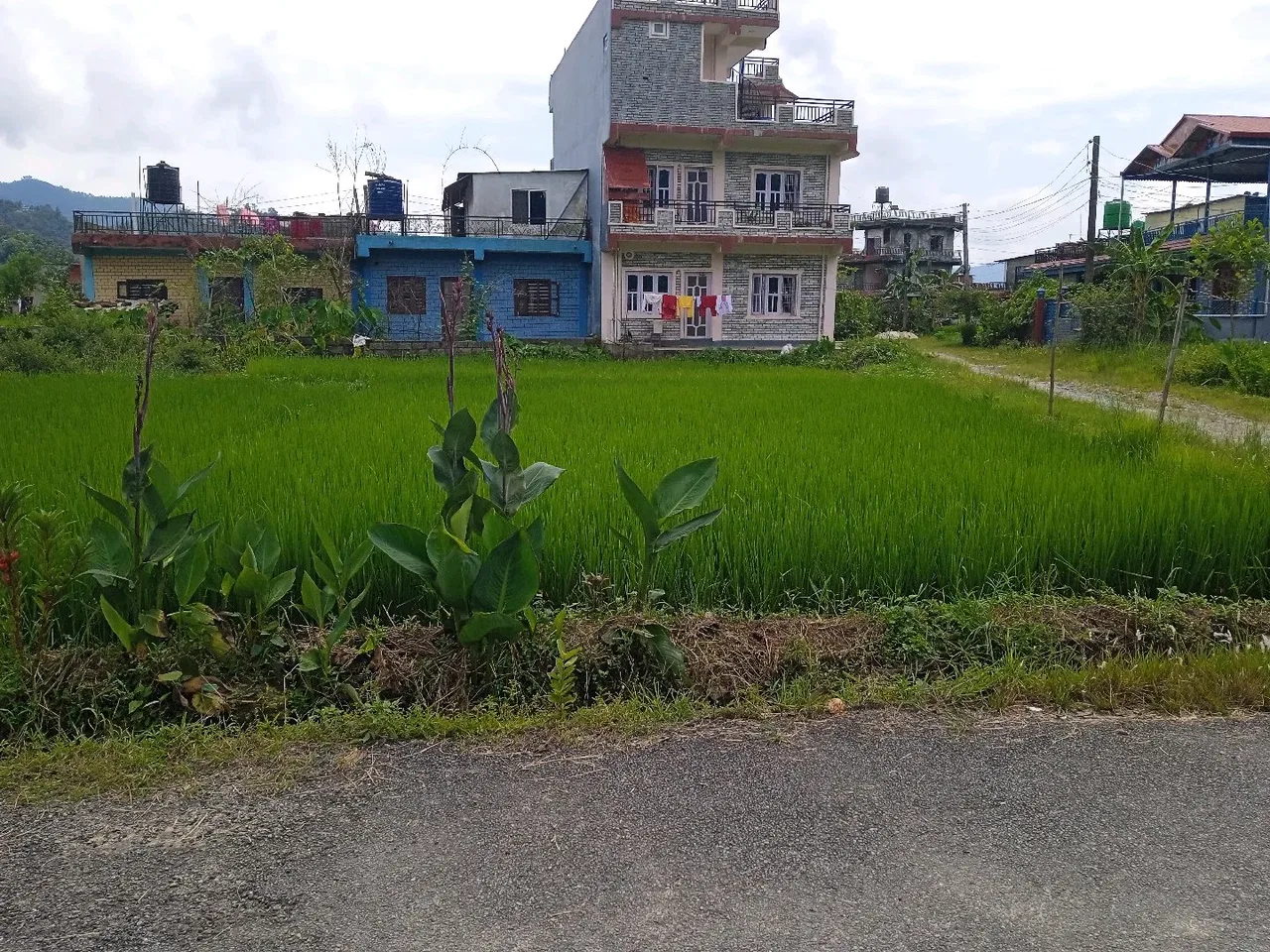 Land for Sale in Pokhara Kaski