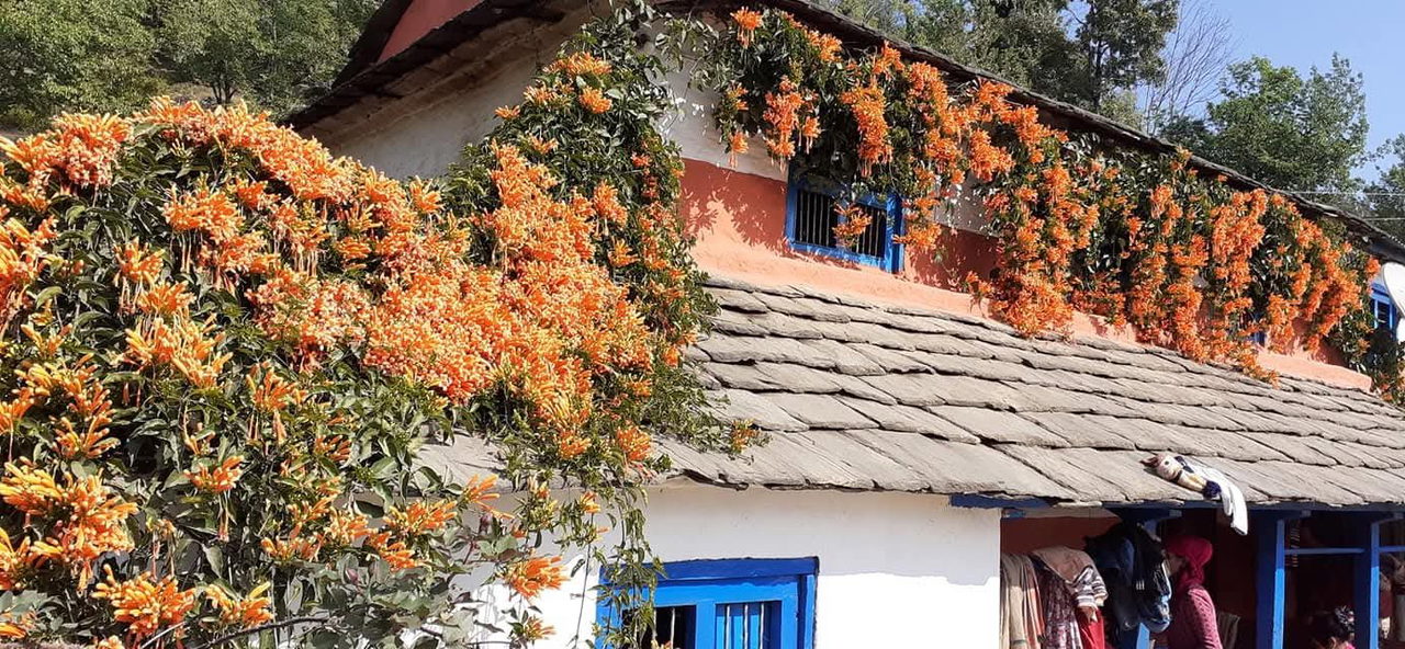 Homestay in Aandhikhola Syangja