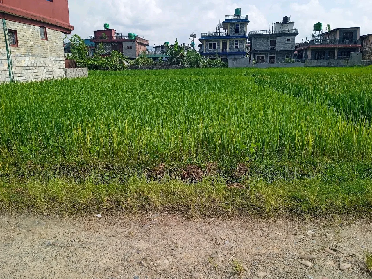 Land for Sale in Pokhara Kaski