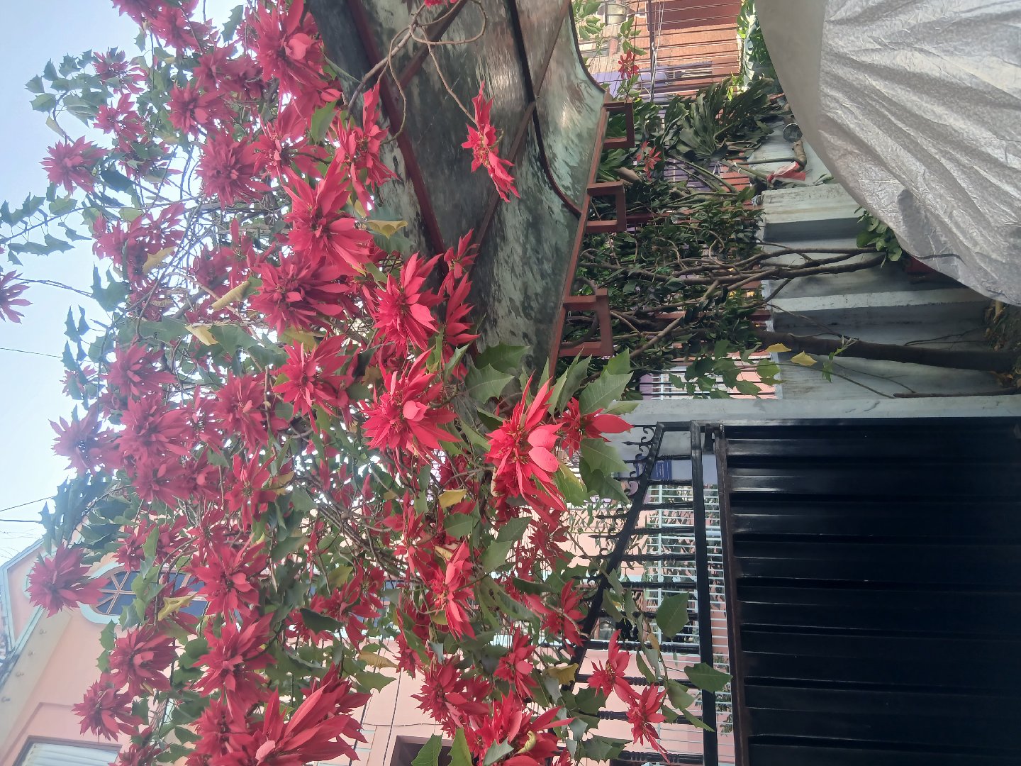 Apartment for Rent in Kathmandu