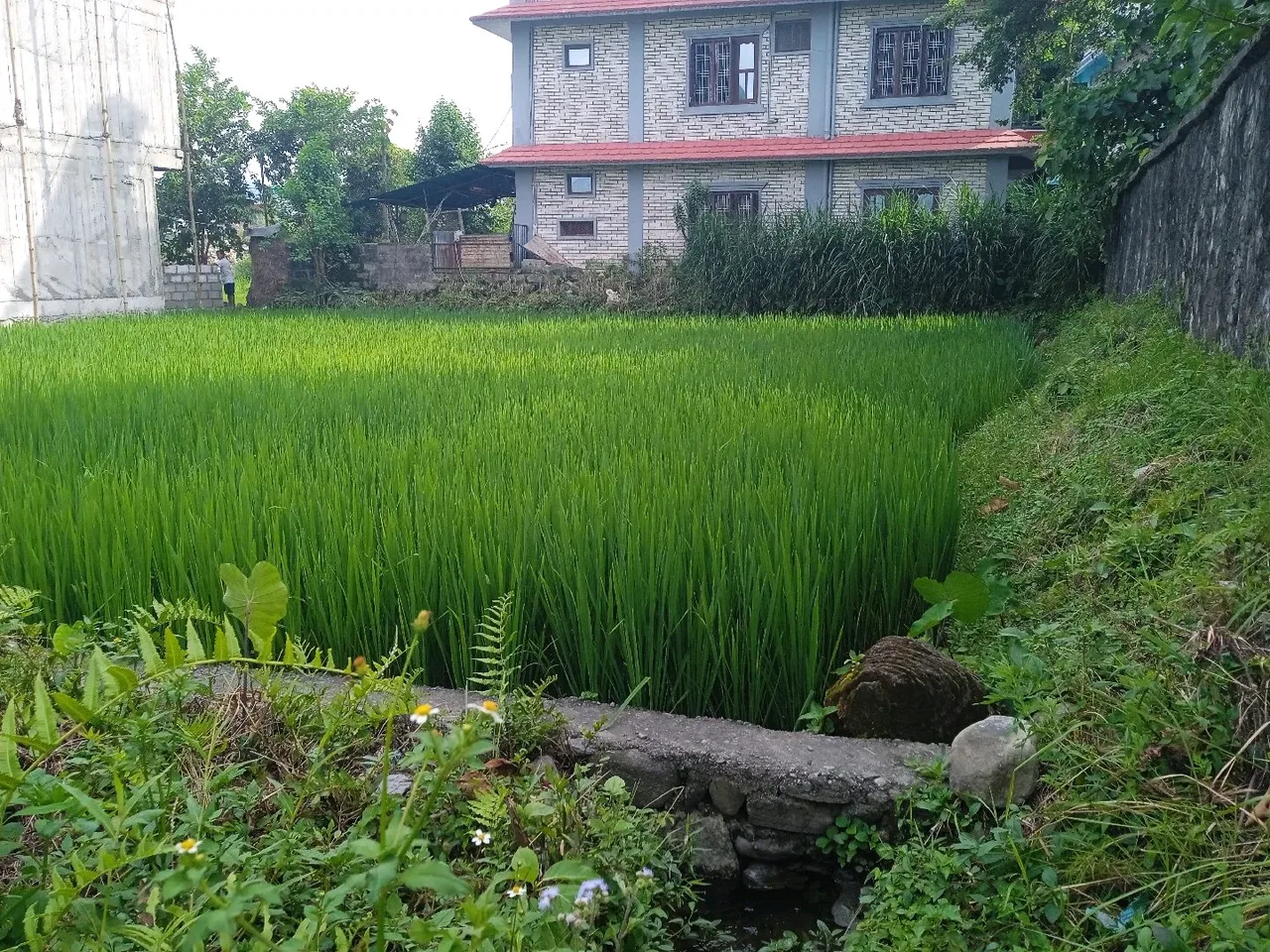 Land for Sale in Pokhara Kaski