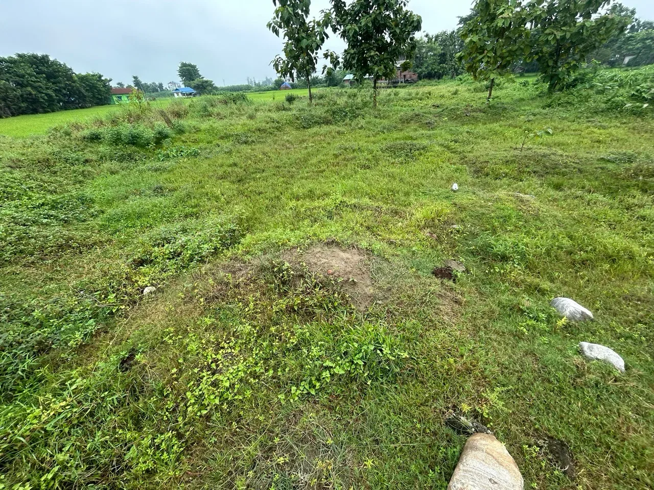Land for Sale in Birtamod Jhapa