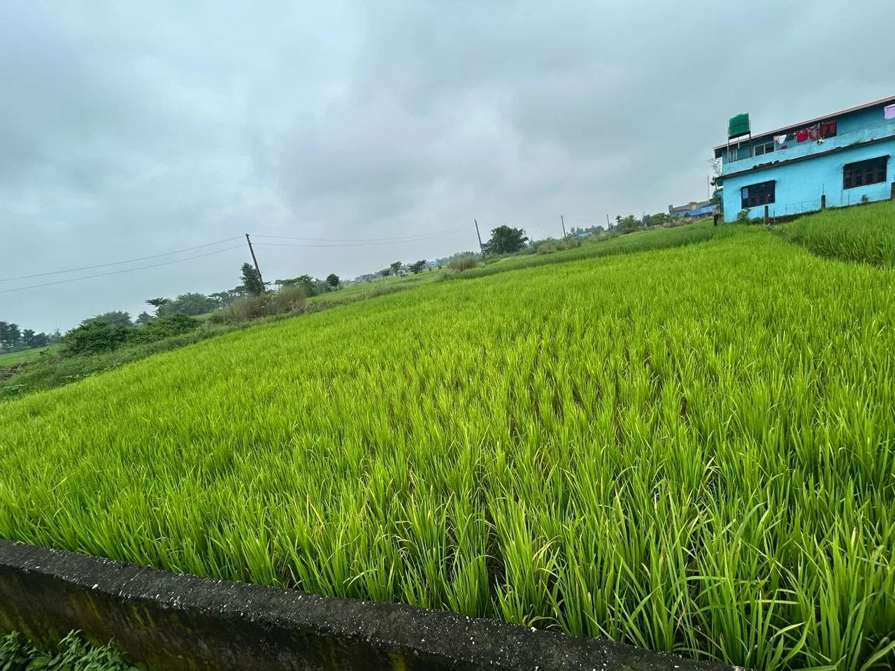 Land for Sale in Birtamod Jhapa