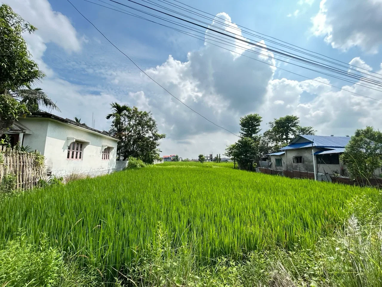 Land for Sale in Birtamod Jhapa