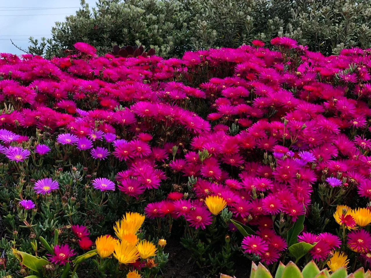 Land for Sale in Kathmandu
