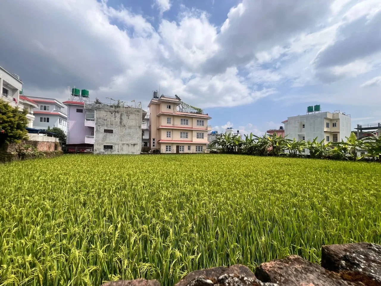 Land for Sale in Budhanilkantha Kathmandu