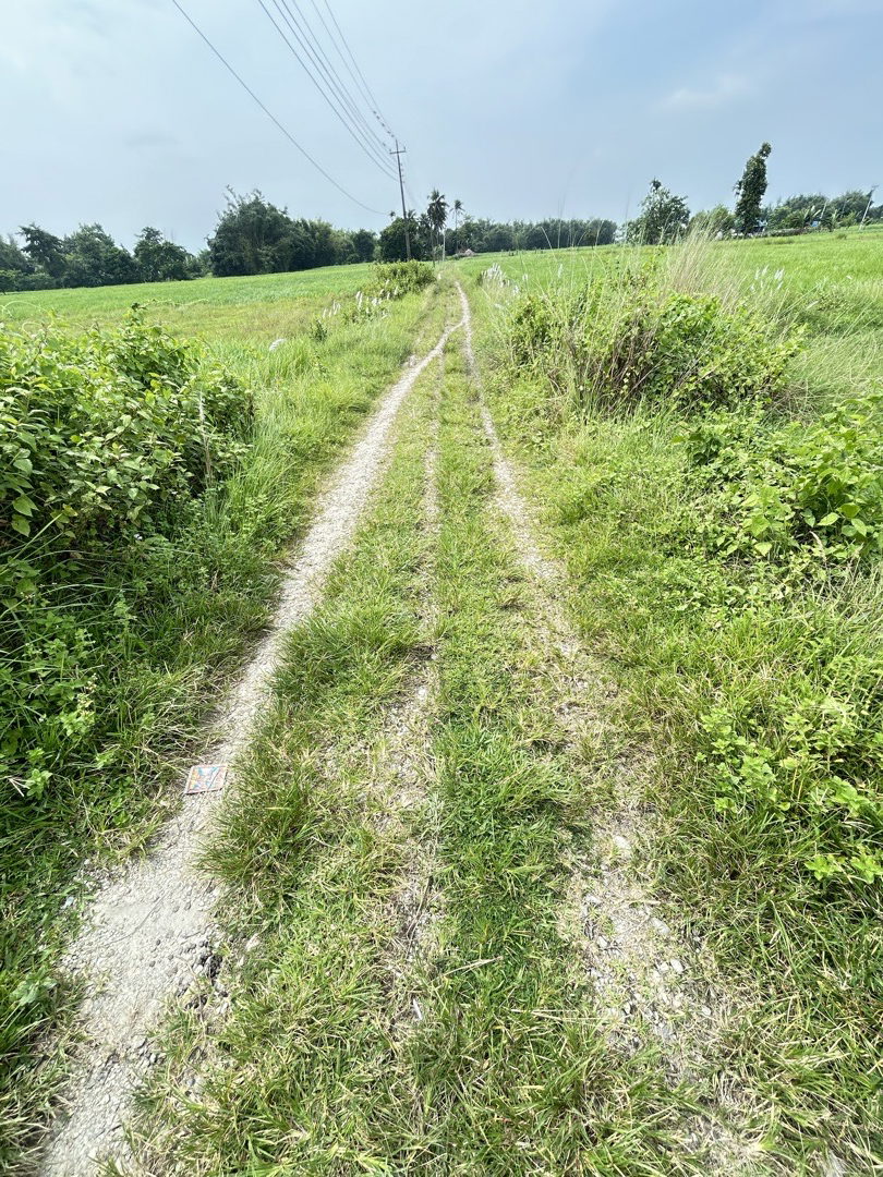 Land for Sale in Birtamod Jhapa