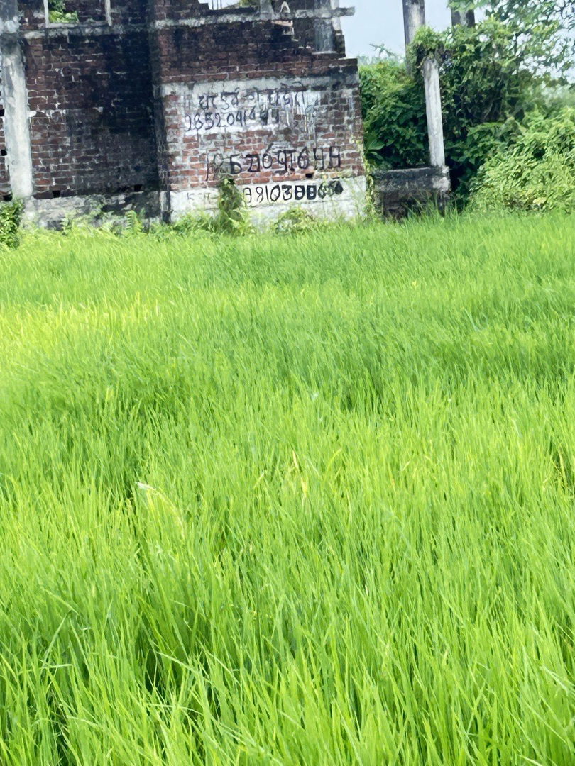 Land for Sale in Birtamod Jhapa