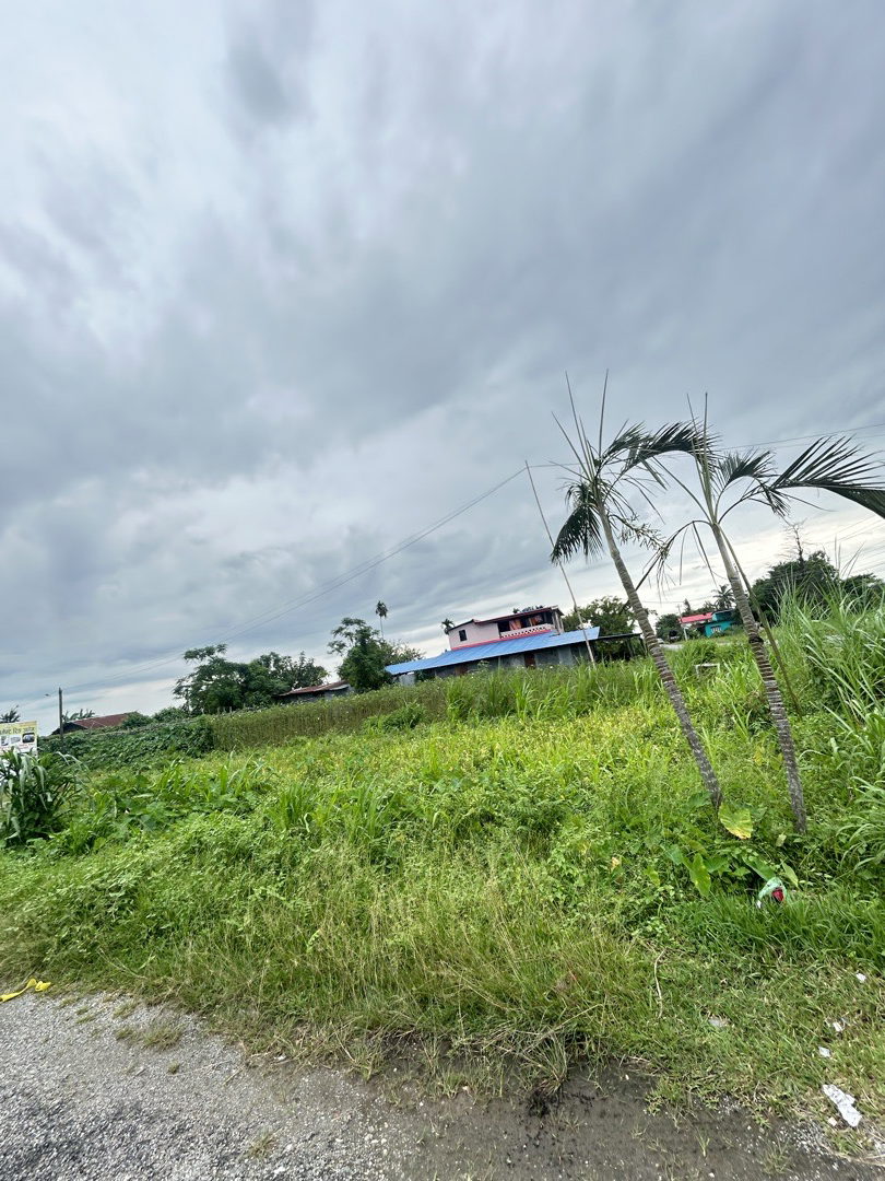 Land for Sale in Birtamod Jhapa