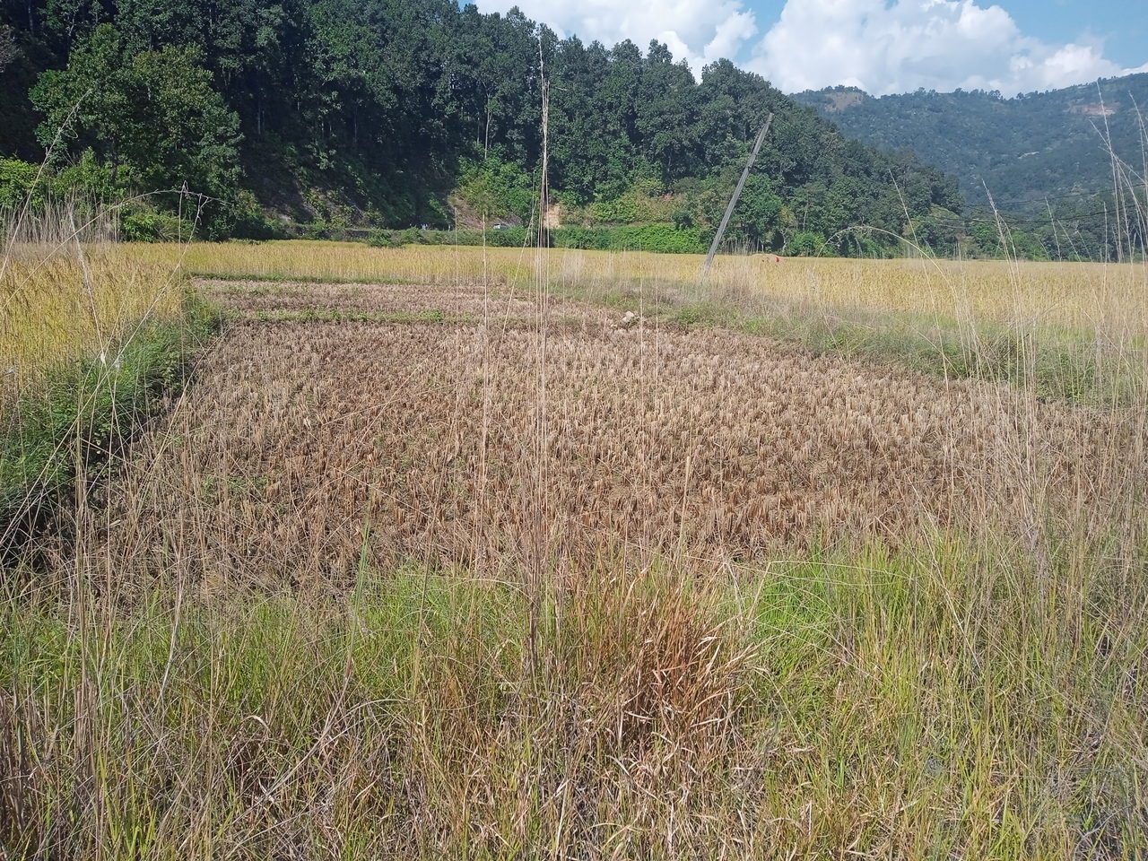 Land for Sale in Pokhara Kaski