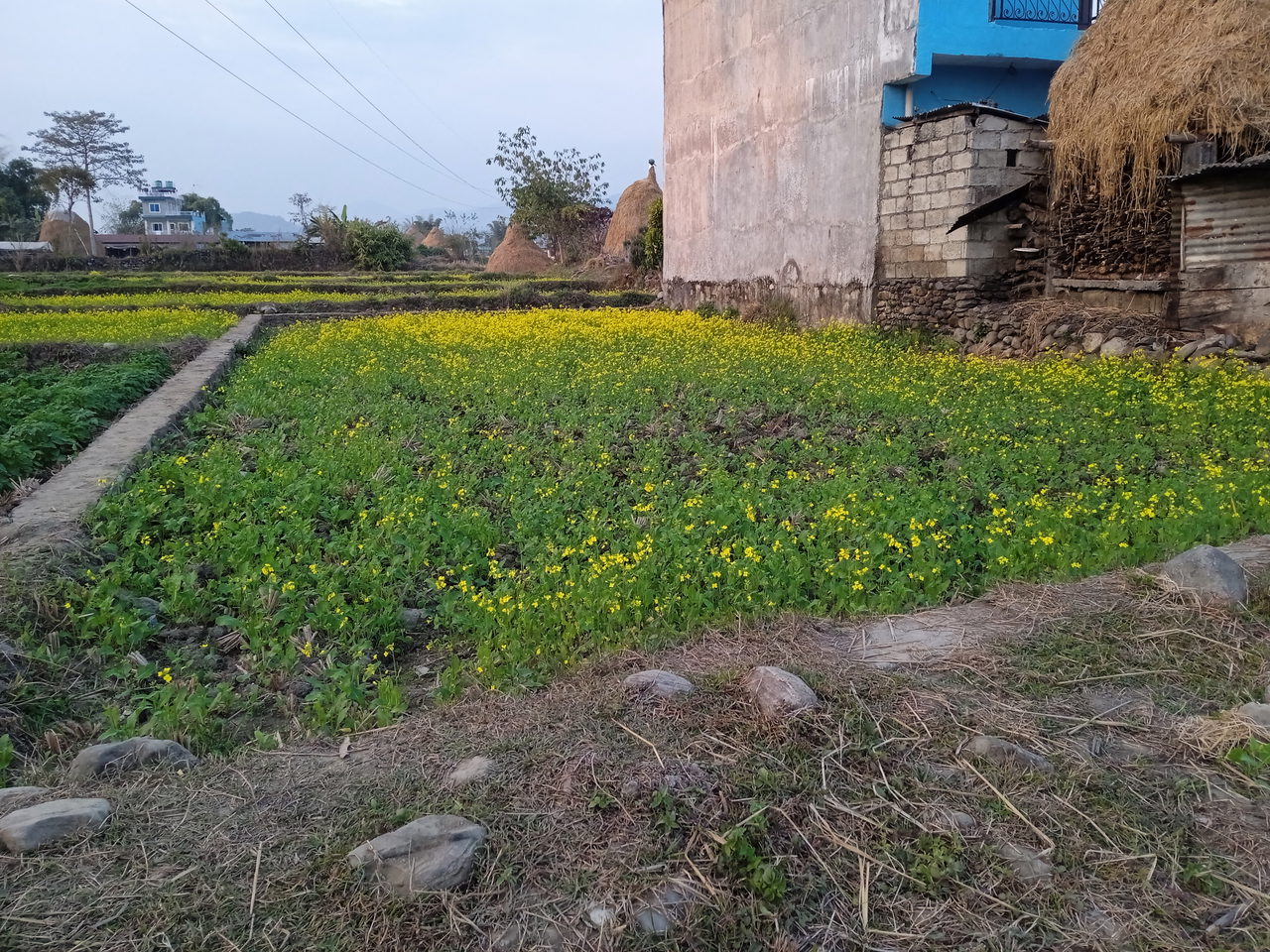 Land for Sale in Pokhara Kaski