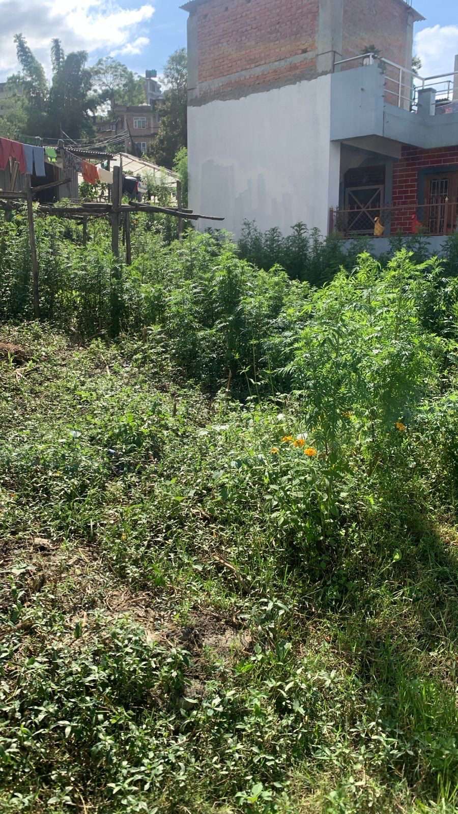 Land for Sale in Lalitpur