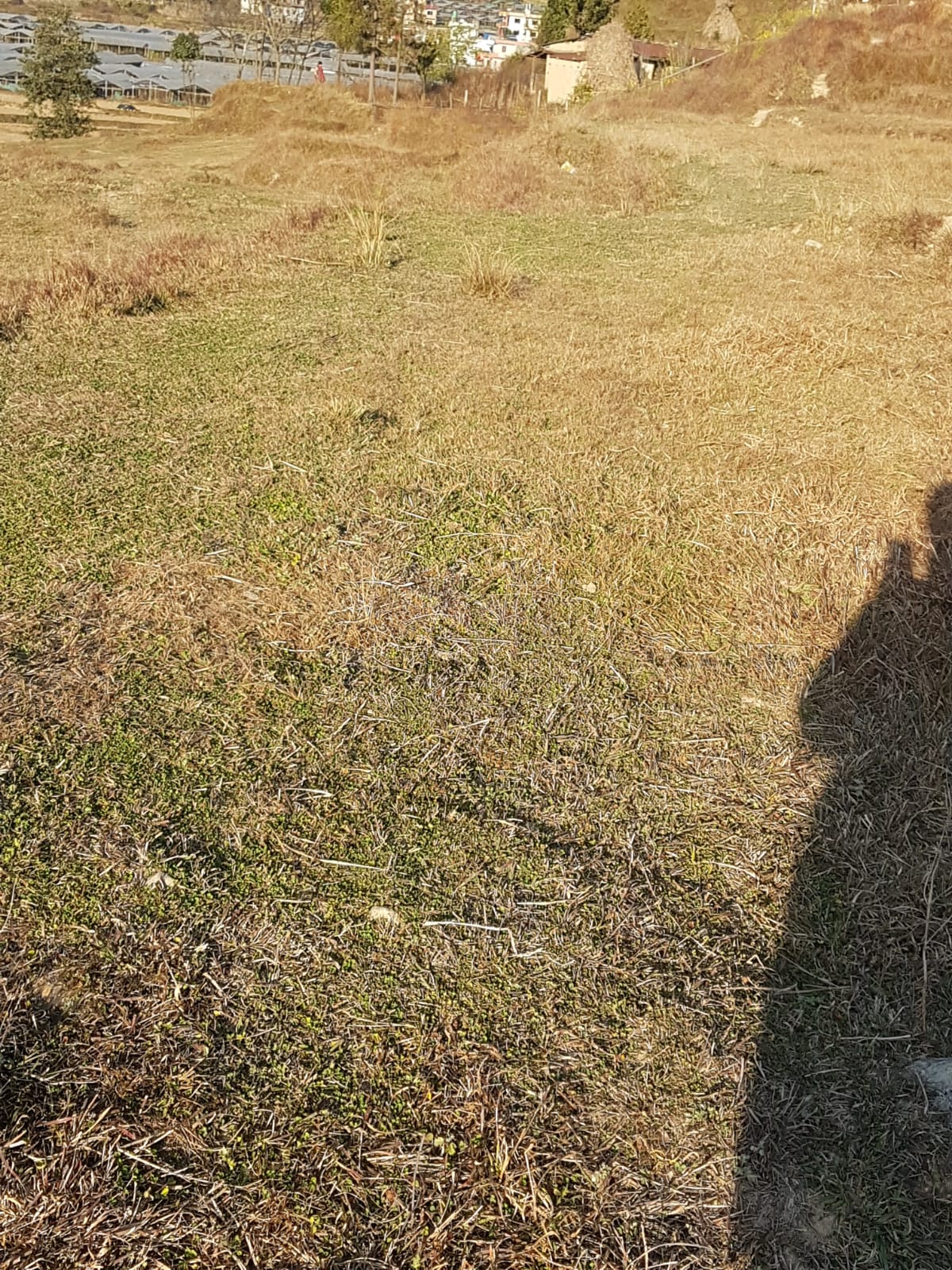 Land for Rent in Godawari Lalitpur
