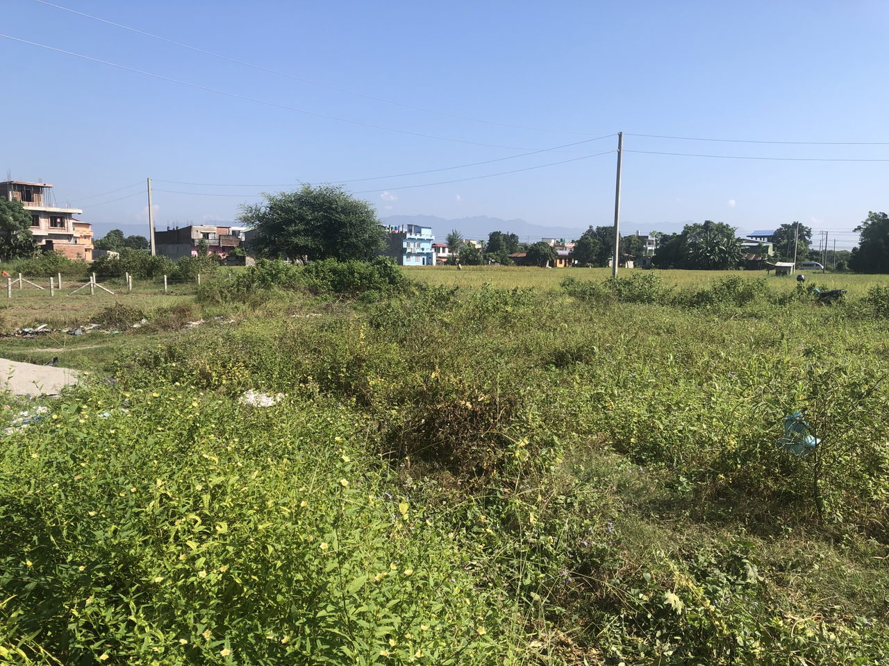 Land for Sale in Bharatpur Chitwan