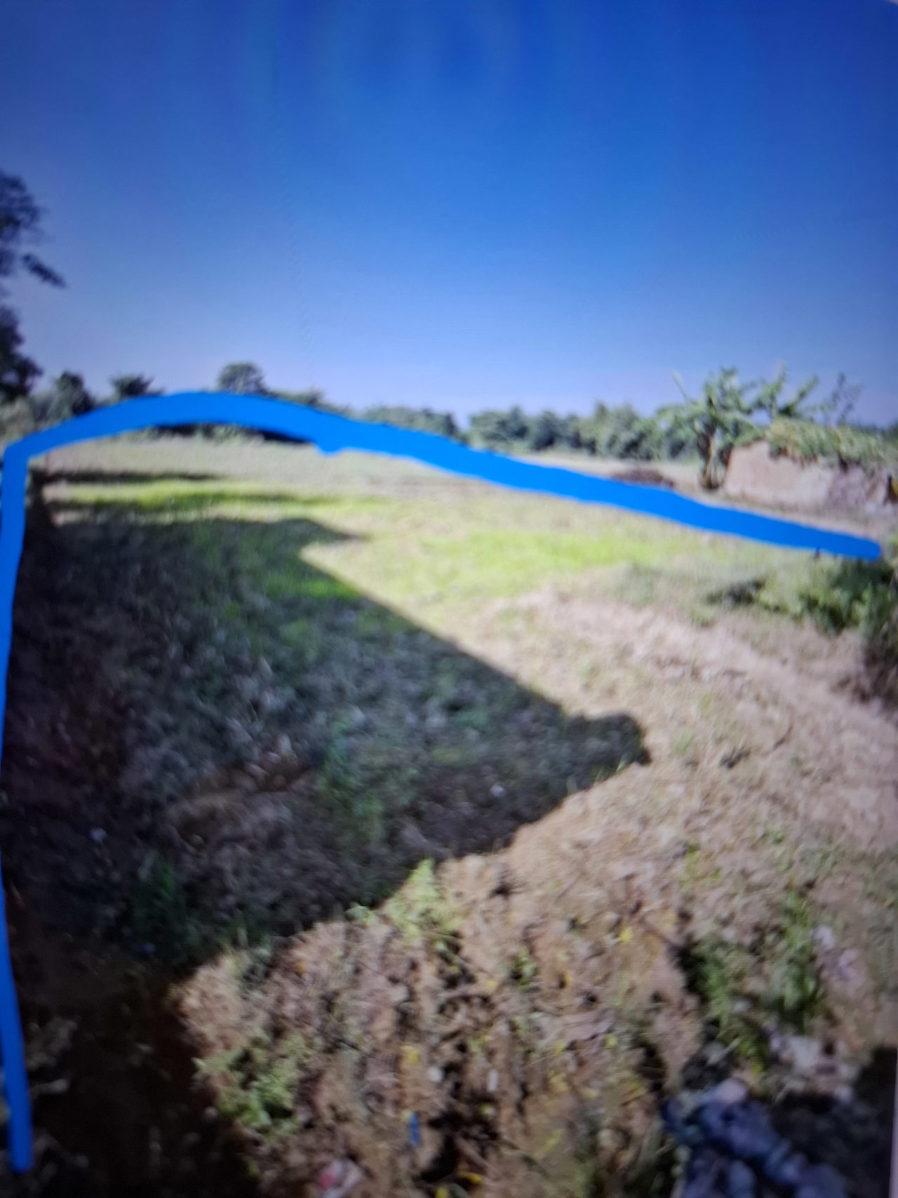 Land for Sale in Siyari Rupandehi