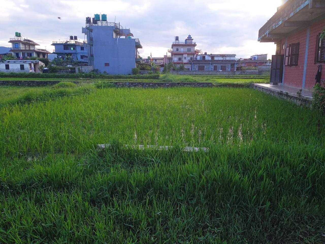 Land for Sale in Pokhara Kaski