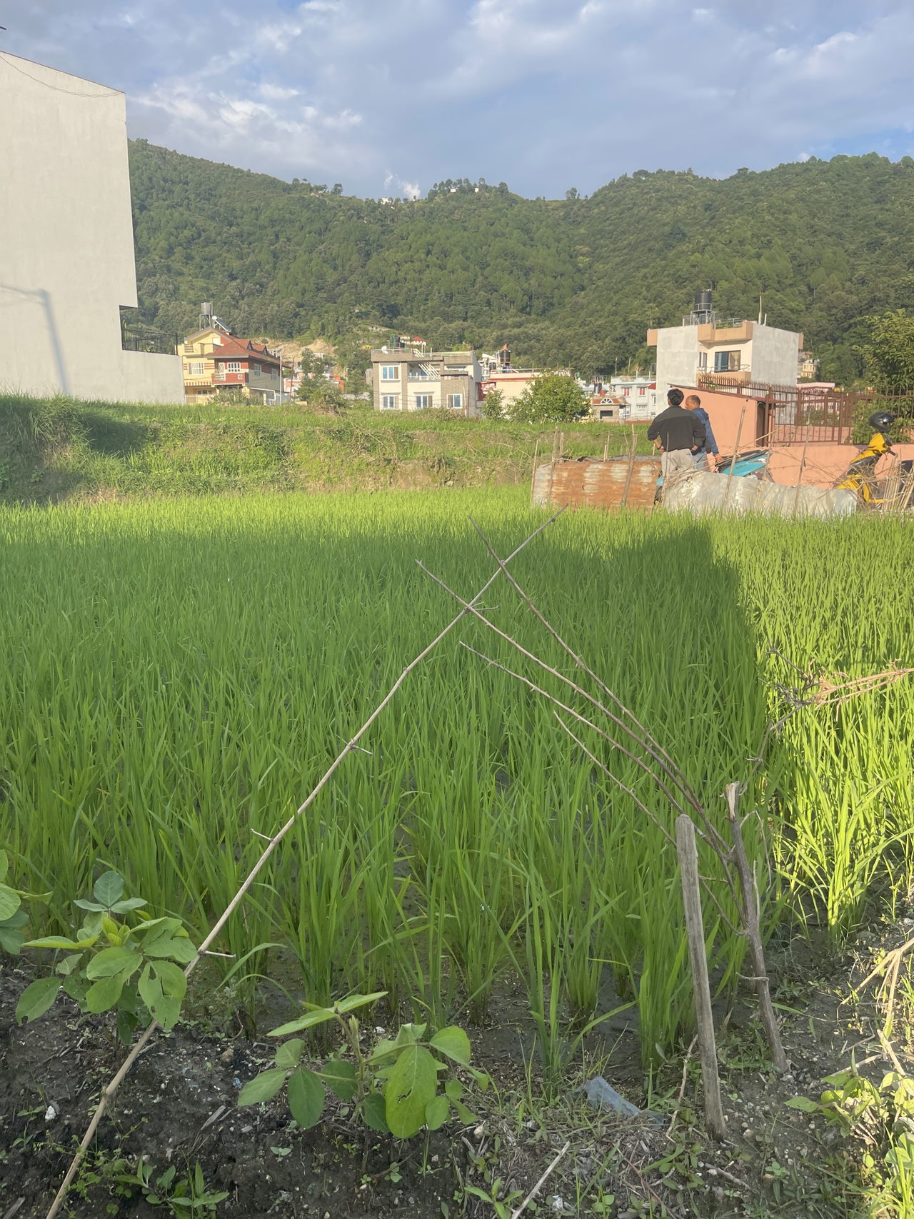 Land for Sale in Budhanilkantha Kathmandu