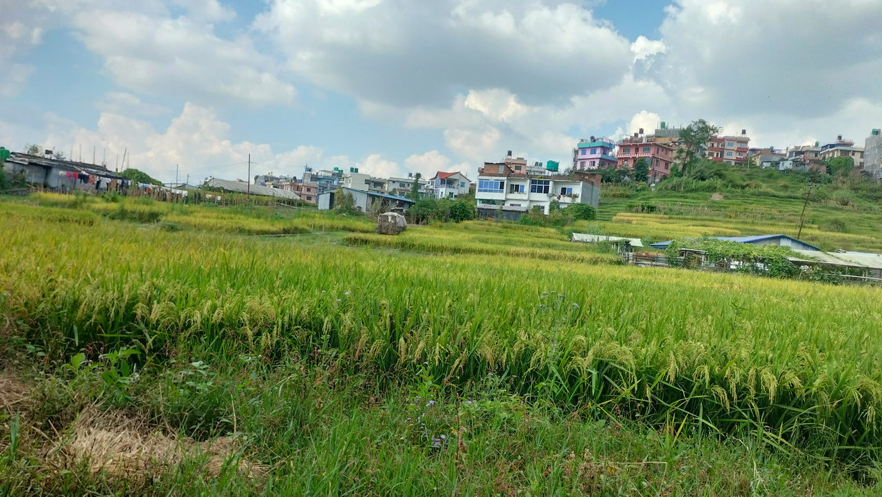 Land for Sale in Suryabinayak Bhaktapur