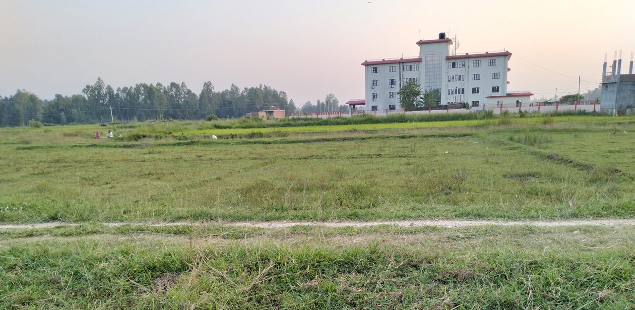 Land for Sale in Dhangadhimai Siraha