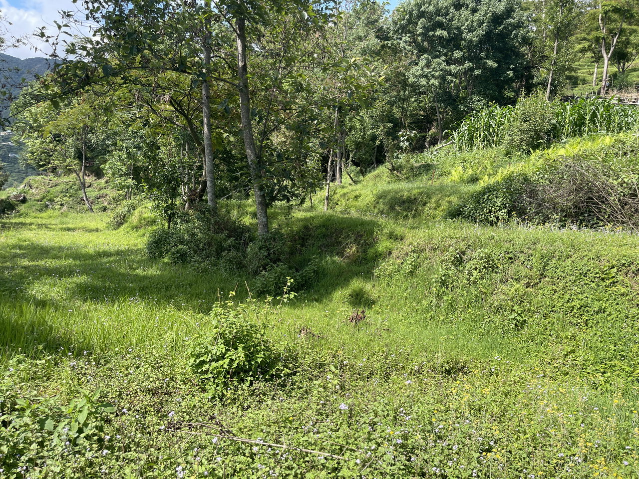 Land for Sale in Tokha Kathmandu