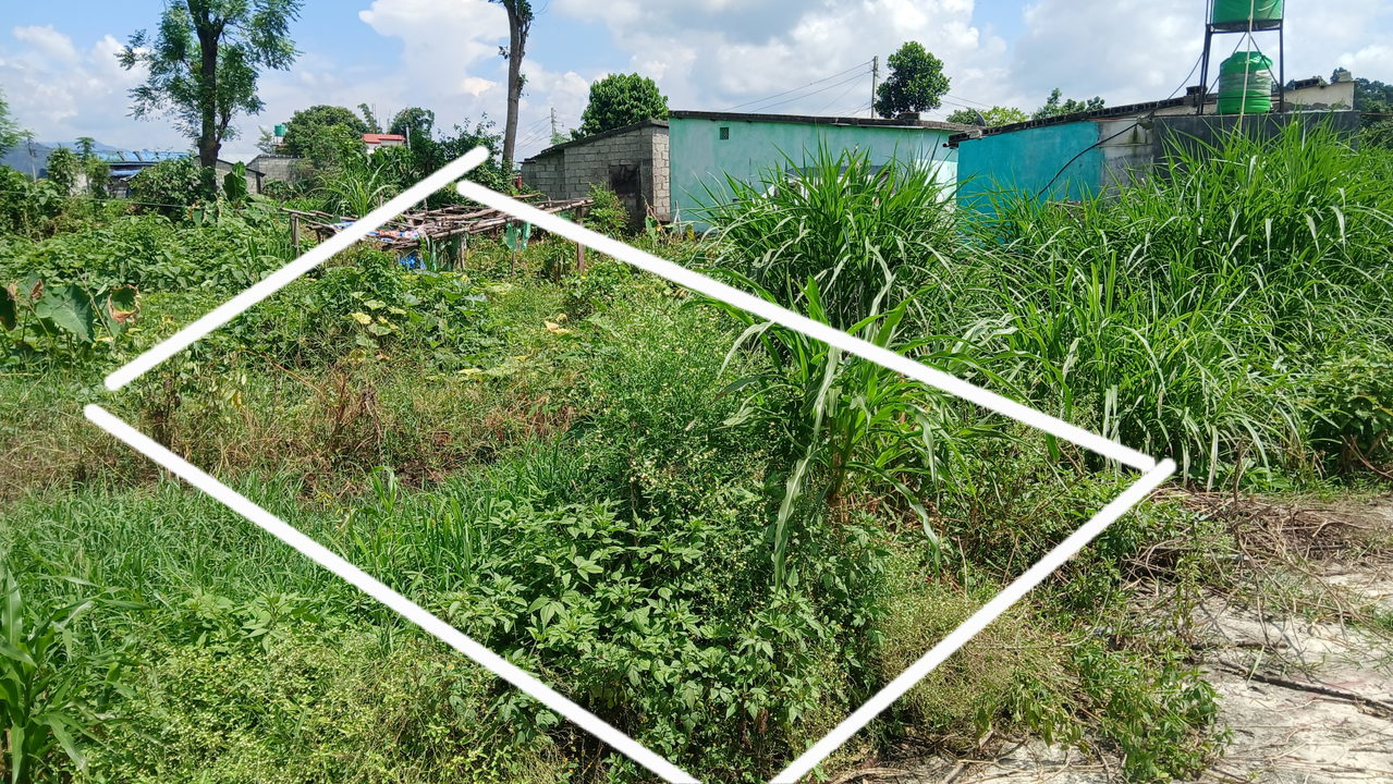 Land for Sale in Hetauda Makwanpur