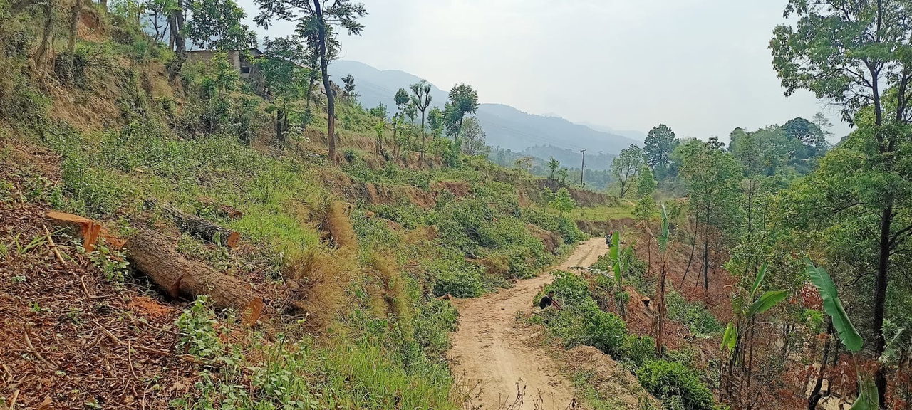 Land for Sale in Dhunibeshi Dhading