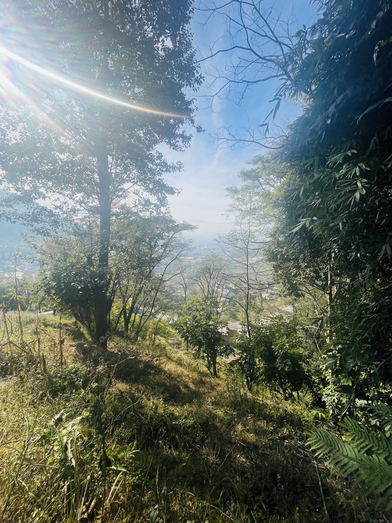 Land for Sale in Tokha Kathmandu