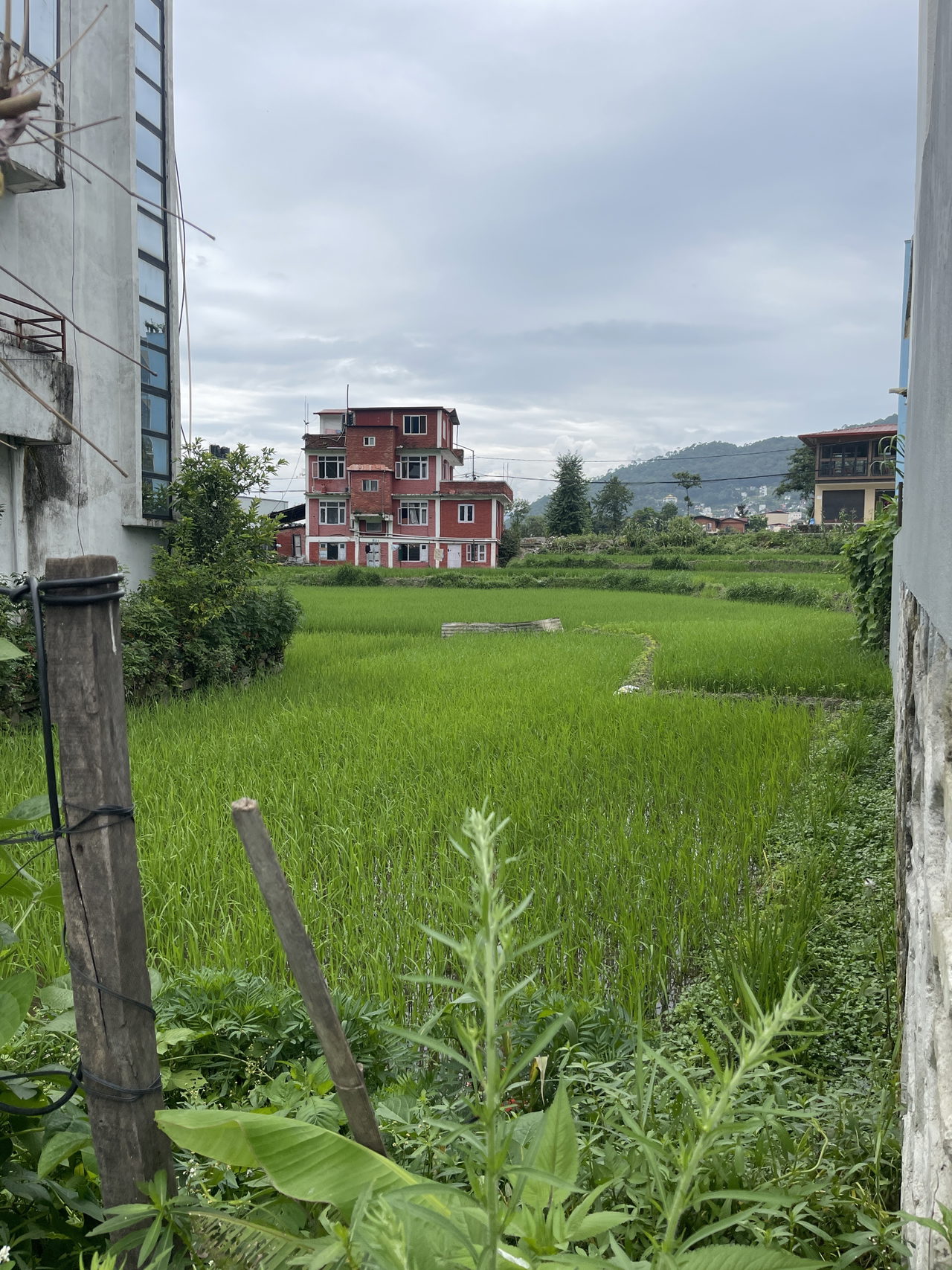 Land for Sale in Budhanilkantha Kathmandu