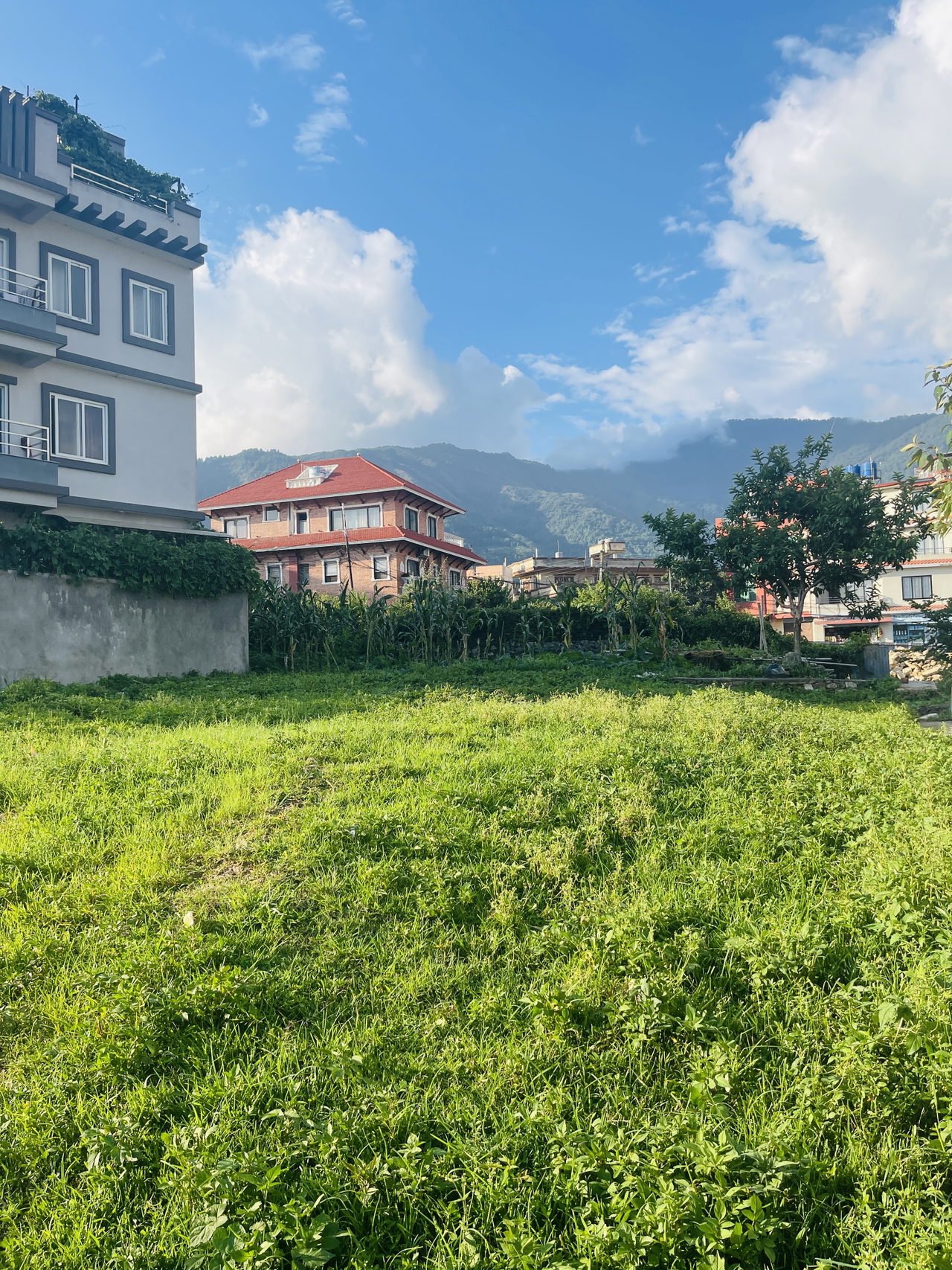 Land for Sale in Budhanilkantha Kathmandu