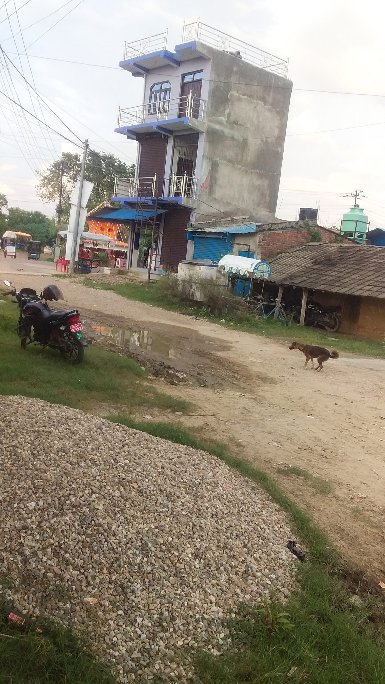 Land for Sale in Gulariya Bardiya