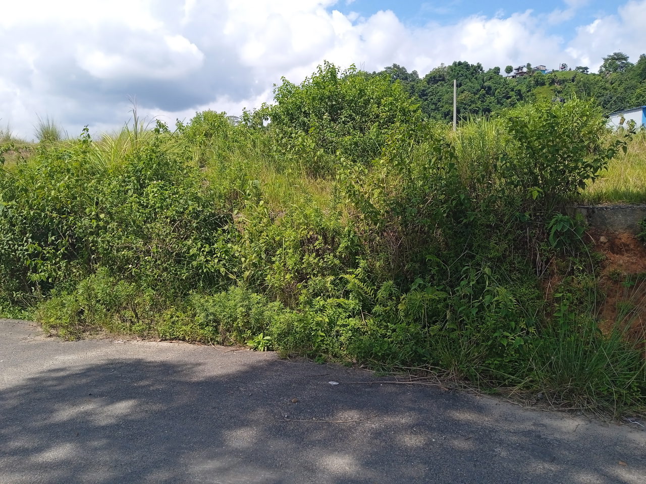 Land for Sale in Pokhara Kaski