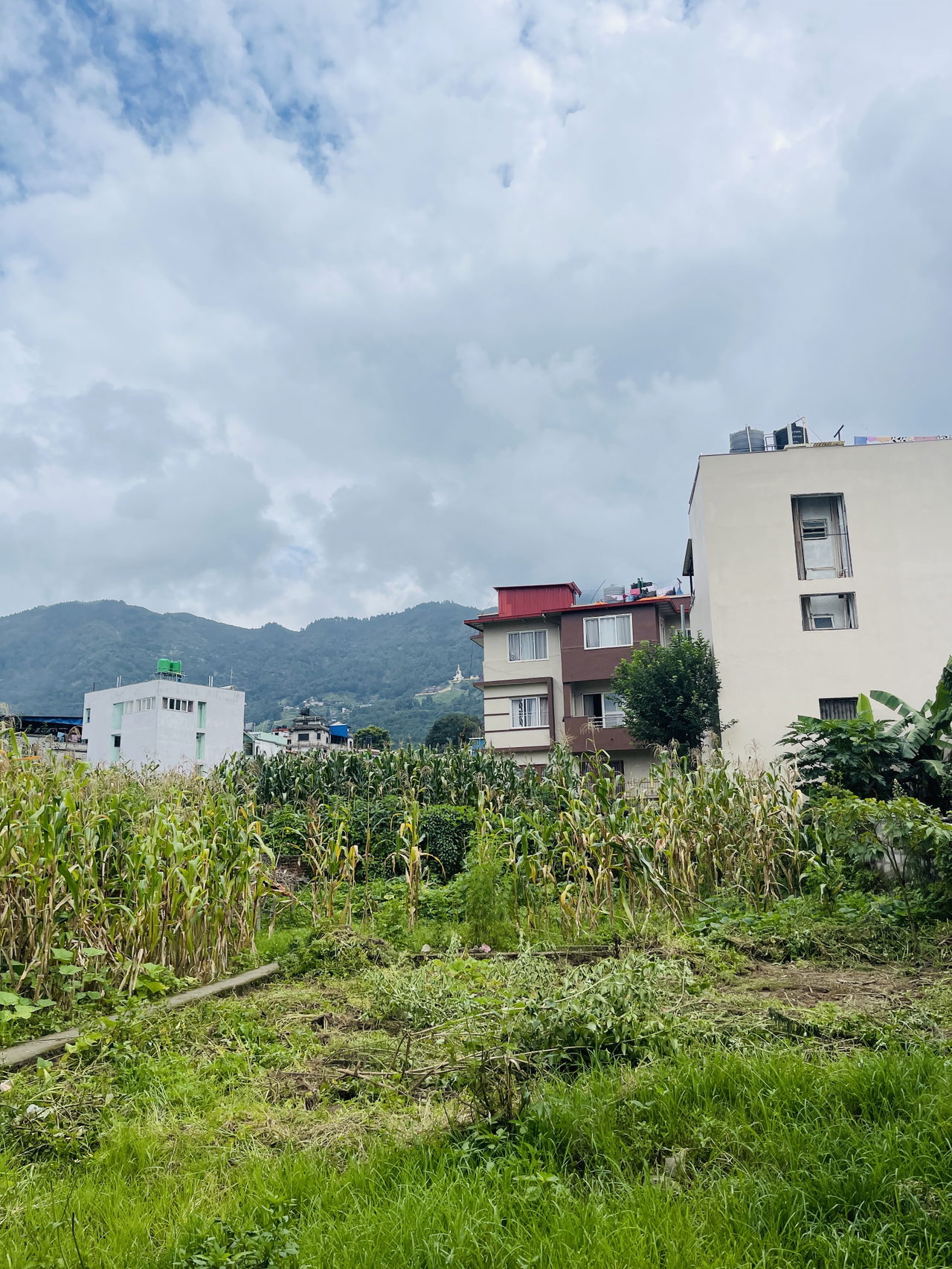 Land for Sale in Budhanilkantha Kathmandu