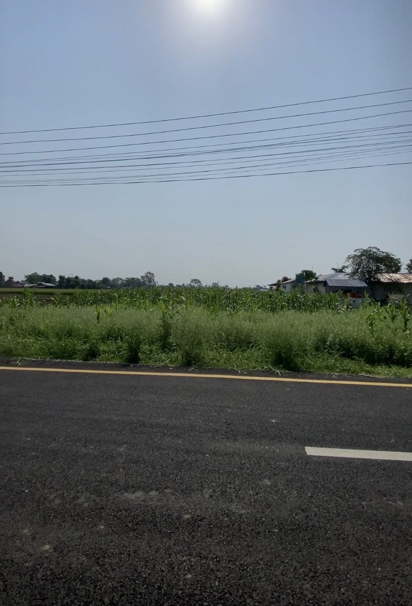 Land for Sale in Bharatpur Chitwan