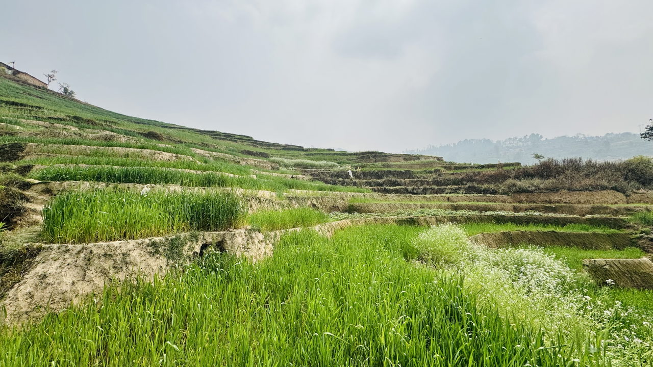 Land for Sale in Changunarayan Bhaktapur